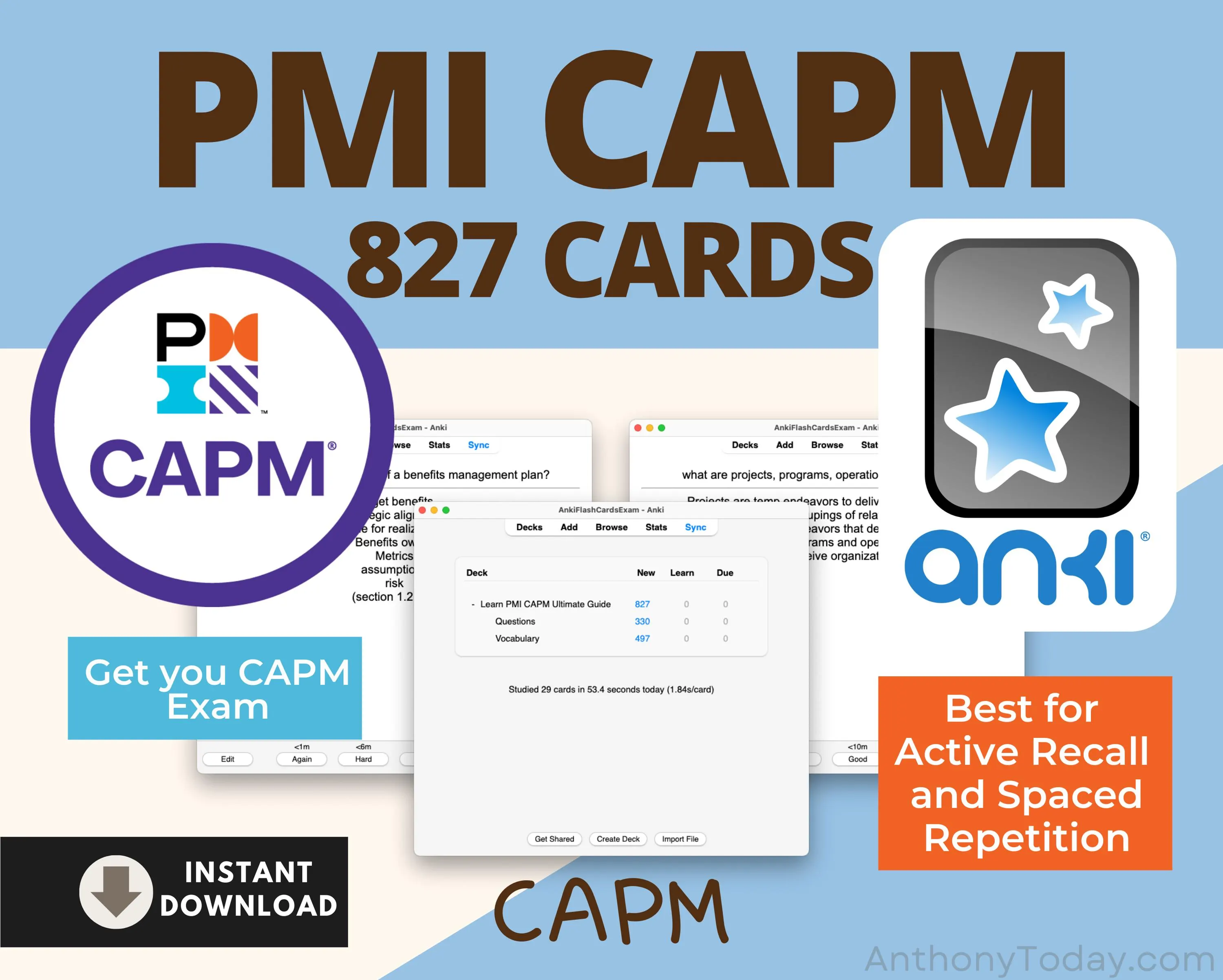 PMI CAPM Flashcards